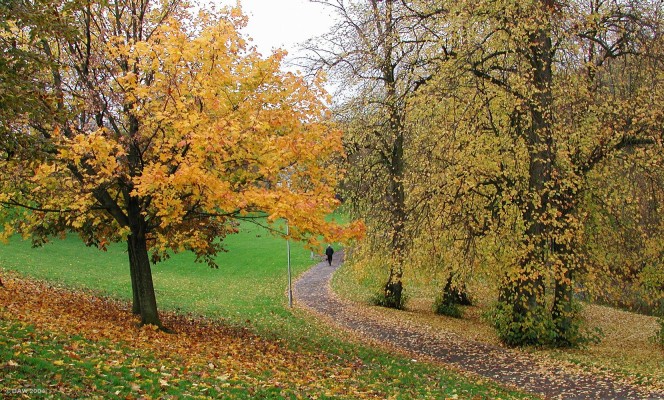 Levern Walkway in Autumn
