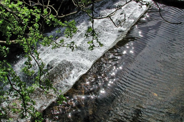 Weir, Levern Water
Hidden from view except to those taking a train to Kilmarnock is this weir on the Levern Water as it makes its way from Neilston to barrhead.  [url=http://www.streetmap.co.uk/map.srf?X=248774&Y=658070&A=Y&Z=115&ax=248192&ay=657840/] Map location. [/url]
