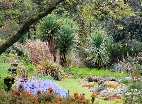 Linn Botanic Gardens, Cove
[url=http://www.linnbotanicgardens.org.uk/] Linn Gardens [/url] were first laid out in the 1860's by the first owner of the land and remained much the same until 1971 when Dr James Martin bought the Villa, he greatly expanded the garden down the hill into what you see today.  This is the garden area in front of the Villa.

