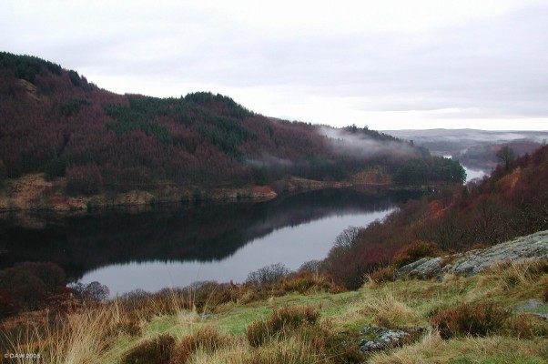 Loch Trool, Galloway Forest Park
Even on this wet mid winter day there is a beauty to the countryside of Galloway that is hard to match.  Loch Trool lies in Glen Trool, at the centre of the Galloway forest park, Scotland largest Forest park.
