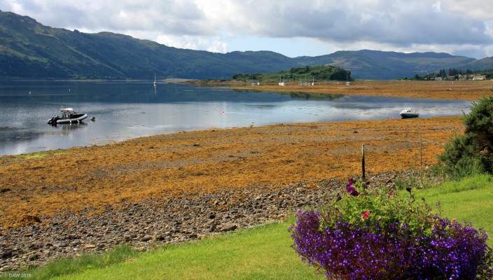 Loch Carron
Looking west along the sea loch, Loch Carron from the village of Locharron.  [url=http://streetmap.co.uk/map.srf?X=190782&Y=840000&A=Y&Z=120/] Map location. [/url]
