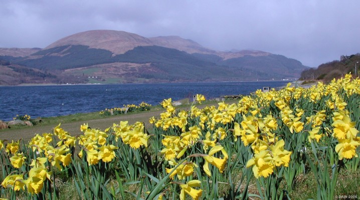 Looking towards Stronchullin Hill, Loch long
This view is taken from the eastern shore of Loch long looking over towards Stronchullin Hill rising to some 548 metres. [url=http://www.multimap.com/map/browse.cgi?lat=56.0154&lon=-4.8680&scale=25000&icon=x] Map Location. [/url]
