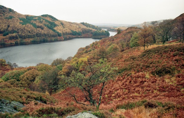 Loch Trool, 1989
Autumn colour at Loch Trool.  [url=http://streetmap.co.uk/map.srf?X=241588&Y=580337&A=Y&Z=115/] Map location. [/url]
