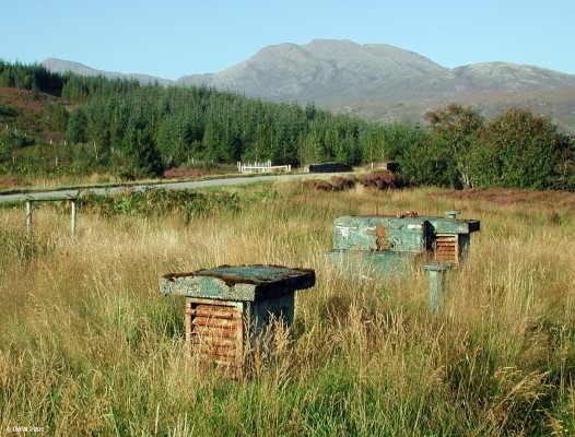 Loch Carron ROC Post
What you see on the surface is the same for all the ROC posts, once you know that you start seeing them everywhere.  This one is in the middle of no where on the A890 in Glen Carron.  [url=www.multimap.com/map/browse.cgi?lat=57.4923&lon=-5.265&scale=25000&icon=x/]Map location[/url]
