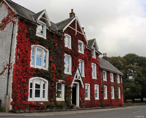 The Lochinvar Hotel, St Johns of Dalry
I've never stayed in [url=http://lochinvarhotel.co.uk/] Lochinvar Hotel but it always looks spectacular in the autumn when the ivy turns rustic, it would be even better if the sun was shining!  Sadly since taking this photo the Ivy has all been removed.
