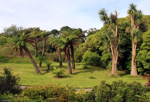 Logan Botanical Gardens
Even in late September when there might not be much colour in the gardens there are still the spectacular collection of tree ferns and palms to admire at Logan.
