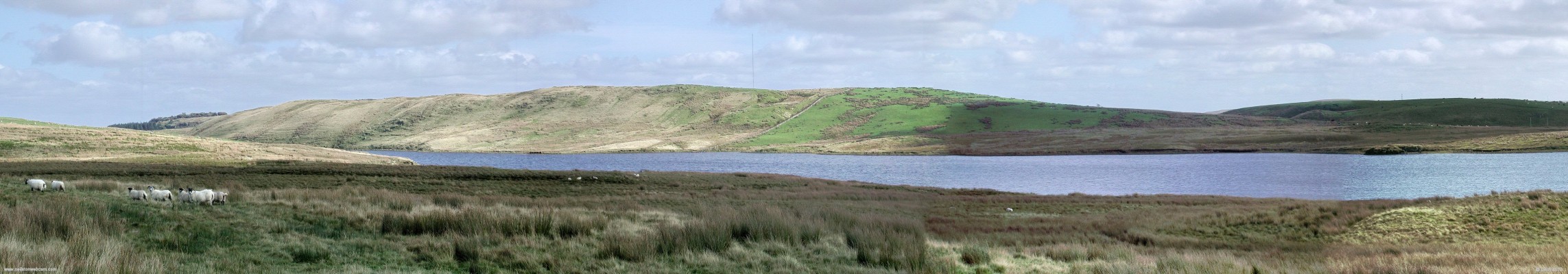 Long Loch from Moyne Moor
Even on a dry day the peat bogs of Moyne Moor remain soggy and are the domain of the sheep.  This view was taken in 2007 before work on any of the Wind Farms had begun.  You can see a mast on top of James's Hill which is an anenometer measuring potential wind speeds.  [url=http://www.streetmap.co.uk/map.srf?X=247390&Y=652820&A=Y&Z=120/] Map location. [/url]
