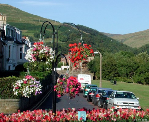 Looking up Gogo Street, Largs
