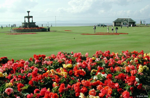 Mackerston Putting Green
For several years Largs has won awards in the 'Britain in Bloom' competitions.  A walk along the promenade in summer soon makes it obvious why.
