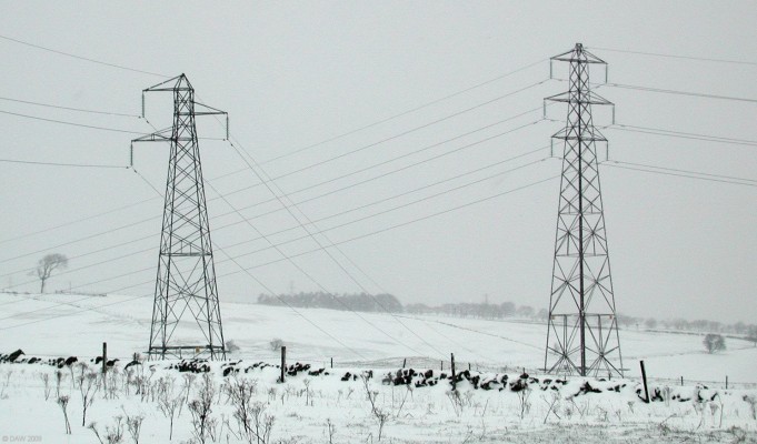 March, F29 and friend
F29 on the left appears to be edging closer to AY36 for some warmth on a bleak March morning just outside Neilston.  [url=http://www.streetmap.co.uk/map.srf?X=246620&Y=656652&A=Y&Z=120/] Map location. [/url]
