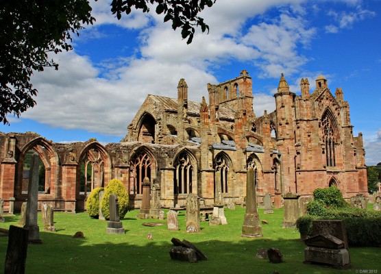 Melrose Abbey
Melrose Abbey is said to be where Robert The Bruce's Heart is buried.  In 1921 a heart was discovered in a lead casket under the chapter house floor.  During a 1996 archaeological excavation it was rediscovered and subsequently re-buried with a plaque unveiled by Donald Dewar on 24th June 1998, the day of the anniversary of Bruce's victory over the English at the Battle of Bannockburn in 1314.
