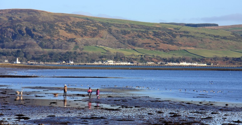 Military Port 2, Cairnryan
Built between 1941 and 1943 its purpose was to replace the docks of Glasgow if they were bombed.  There was 1.5 miles of dock, the pier on the left hand side has since been demolished.  The dock was never needed for its original purpose but was used to bring in American equipment and troops.  After the surrended it was used as a place to moor the U-boat fleet before they were scuttled in deep water. [url=http://www.streetmap.co.uk/map?X=205122&Y=568076&A=Y&Z=120&ax=204092&ay=568046/] Map location. [/url]

