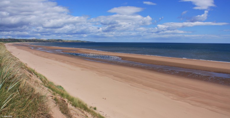 Looking North from the Montrose links
A view looking North from Montrose, the unspoilt sandy beach stretches about 6km all the way from Montrose to St Cyrus.  [url=http://www.streetmap.co.uk/map.srf?X=372968&Y=759598&A=Y&Z=115&ax=372968&ay=759598/] Map location. [/url]

