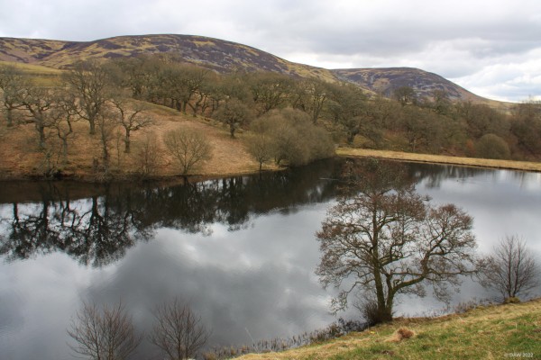 Morton Loch, Dumfries & Galloway
[url=http://streetmap.co.uk/map?X=289106&Y=599159&A=Y&Z=115/] Map location. [/url]
