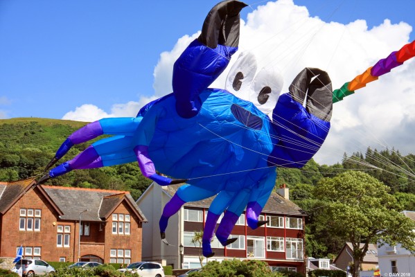 Mutant Crab, Broomfields, Largs
And they told us Hunterston was no risk to sea life.
