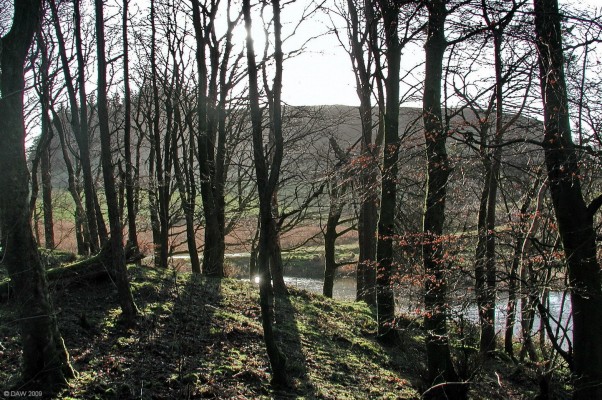 Through the trees
The Neilston Pad through the trees.  [url=http://www.streetmap.co.uk/map.srf?X=247718&Y=655804&A=Y&Z=115/] Map location. [/url]
