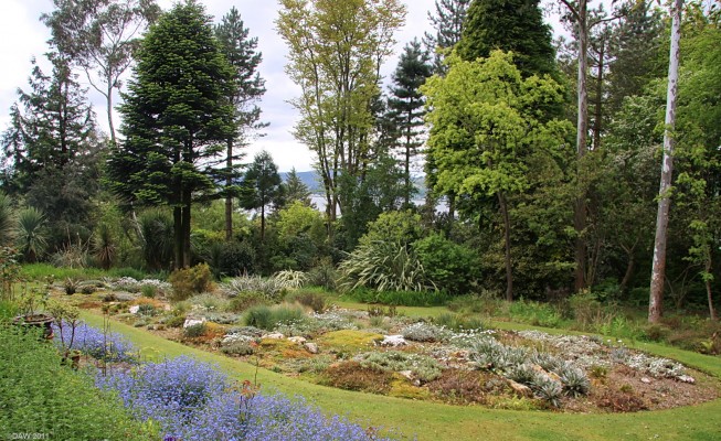 The New Zealand Alpine Lawn, Linn Gardens
[url=http://www.linnbotanicgardens.org.uk/] Linn Botanic Gardens [/url] isn't amongst the largest of Scotland's West Coast gardens but is still well worth a visit.  There is a large  variety of planting in a small area with great views out over Loch Long.
