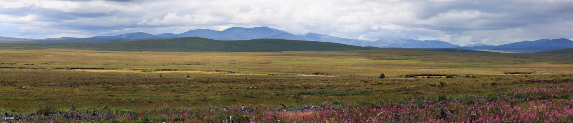The flow country, Sutherland
A view across some of the epic flow country north of Lairg, Sutherland.  You could watch your dog run away for a week here.  [url=http://streetmap.co.uk/map.srf?X=252592&Y=926512&A=Y&Z=120/] Map location. [/url]
