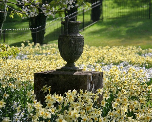 Ornamental Urn, Dawyck Gardens
One of many ornamental stone urns at Dawyck Botanic Gardens. [url=http://www.streetmap.co.uk/map.srf?X=316804&Y=634932&A=Y&Z=115/] Map location. [/url]
