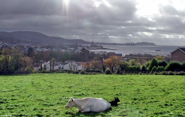 Largs viewed from the north
An autumn view over Largs from the hills at the North end of the town. [url=http://www.multimap.com/map/browse.cgi?lat=55.8076&lon=-4.8718&scale=25000&icon=x/]Map location[/url]
