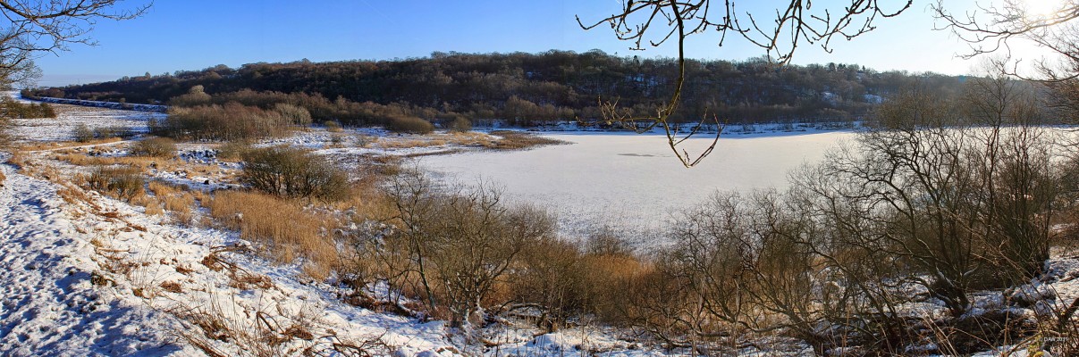 Overlooking Loch Libo
Overlooking a frozen Loch Libo from the north side.  On the left you can see the line of the Kilmarnock Railway line as it passes the Loch and on the right amongst the trees is the village of Uplawmoor. [url=http://www.streetmap.co.uk/map.srf?X=243598&Y=655902&A=Y&Z=115/] Map location. [/url]
