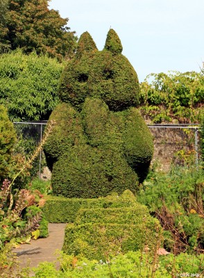 Topiary, Greenbank Garden
A yew tree Owl, at least I think that's what it is.
