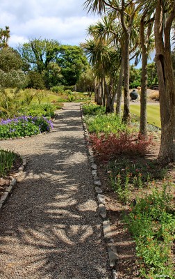 Logan Botanic Gardens, Mull of Galloway
Palm trees at Logan casting shadows.
