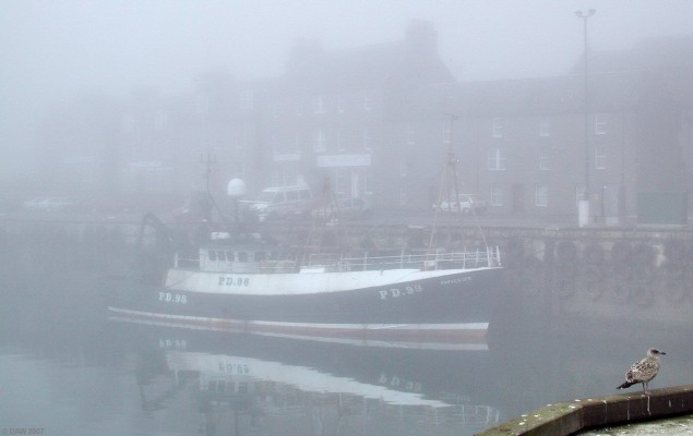 Peterhead harbour on a foggy summer morning
A young Herring Gull waits to see if the morning har will burn off.   Peterhead was established in 1587 as a planned settlement.  The harbour was built in 1593.  Even today Peterhead is an important port for the landing of white fish, the total tonnage landed at Peterhead in 2004 was 136,000 tonnes, 30% of which was white fish. [url=www.multimap.com/map/browse.cgi?lat=57.5071&lon=-1.7738&scale=5000&icon=x/]Map location[/url]
