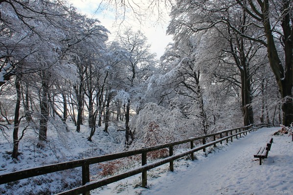 Pollick Glen, Uplawmoor
[url=http://www.streetmap.co.uk/map.srf?X=243412&Y=655025&A=Y&Z=115/] Map location. [/url]
