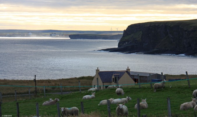 Dounreay from Portskerra
An early morning view from Portskerra towards Dounreay.  [url=http://streetmap.co.uk/map.srf?X=287419&Y=966127&A=Y&Z=120/] Map location. [/url]
