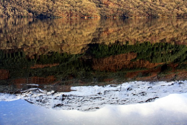Loch Lomond 
Reflections, Loch Lomond.
