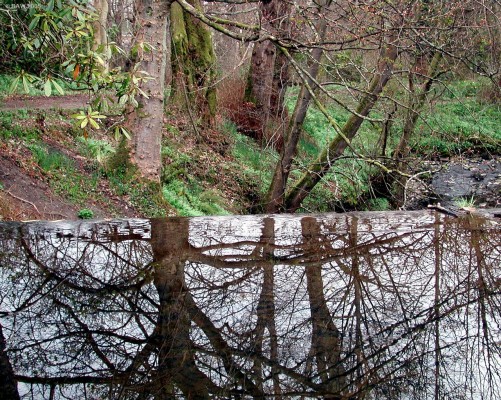 Reflections, Finlaystone Estate, Langbank
