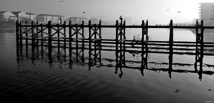 The old jetty at Renfrew Ferry
The cranes of Scotstoun shipyard loom out of the mist on a cold autumn morning. [url=http://www.streetmap.co.uk/map.srf?X=251025&Y=668430&A=Y&Z=115/] Map location. [/url]
