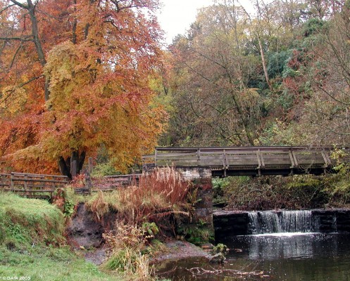 River Calder, Calderglen Country Park
[url=http://www.multimap.com/map/browse.cgi?lat=55.7466&lon=-4.1429&scale=25000&icon=x/]Map location.[/url]
