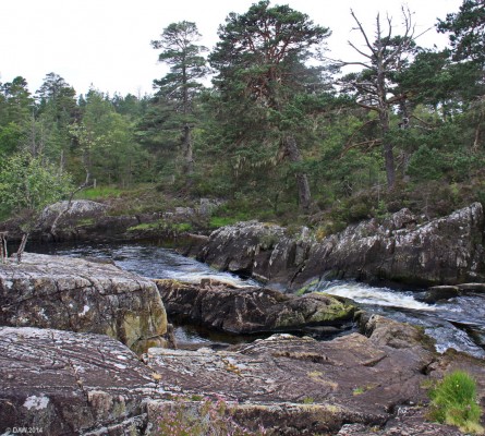 The River Affric, Glen Affric
[url=http://www.streetmap.co.uk/map.srf?X=219997&Y=823089&A=Y&Z=115&ax=219997&ay=823089/] Map location. [/url]
