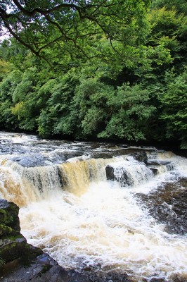 The River Clyde at New Lanark
A very different river Clyde from the one that flows past the shipyards of Glasgow, taken at the falls of Clyde Nature reserve at New Lanark.  The main falls are further up but how spectacular they are depend on whether or not the Boonington Hydro station is running.  [url=http://www.streetmap.co.uk/map.srf?X=288078&Y=642260&A=Y&Z=115/] Map location. [/url] 

