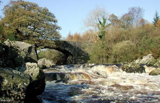 The River Cree, Clachaneasy
Road bridge over the River Cree near Bargrennan.  [url=http://www.streetmap.co.uk/map.srf?X=235590&Y=575067&A=Y&Z=120/] Map location. [/url]
