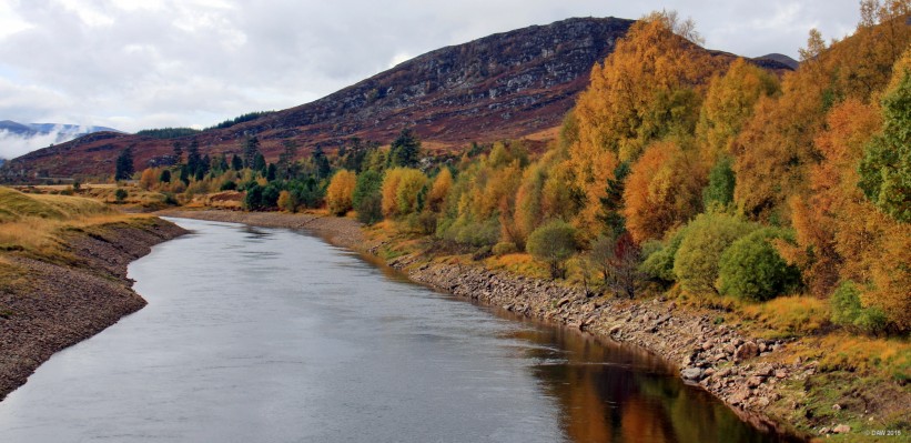 The River Spean, Autumn
A view along the river Spean after it leaves Loch Laggan.  [url=http://streetmap.co.uk/map.srf?X=243236&Y=782998&A=Y&Z=115/] Map location. [/url]
