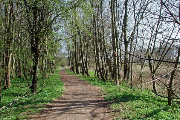 Riverside Walkway, Irvine
Being a modern planned town some thought went into making Irvine a pedestrian and bicycle friendly area.  It has many miles of walkway like this one along side the river Irvine.  [url=http://www.multimap.com/map/browse.cgi?lat=55.5982&lon=-4.6362&scale=25000&icon=x]Map Location[/url]
