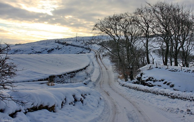 The road past Harelaw Dam
A winter view at Harelaw, the Dam wall is on the left.  [url=http://www.streetmap.co.uk/map.srf?X=247190&Y=653930&A=Y&Z=120/] Map location. [/url]
