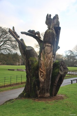 Wood carving, Rozelle Park, Ayr
[url=http://streetmap.co.uk/map?X=233837&Y=619018&A=Y&Z=115/] Map location. [/url]
