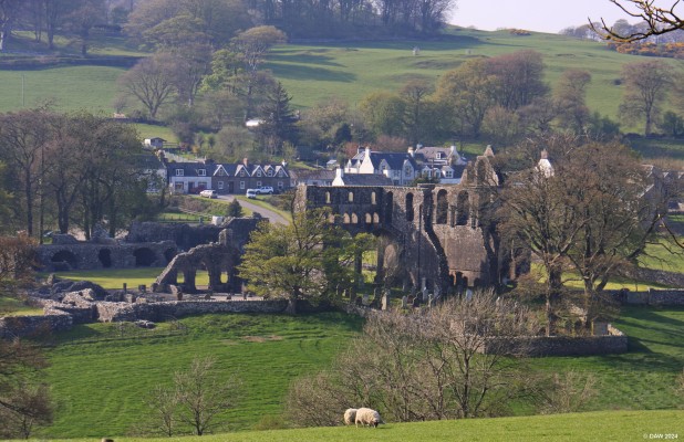 Ruins of Dundreenan Abbey
Looking down on the ruins of Dundrennan Abbey.  It was founded in 1142 and used for worship for the following 400 years. [url=http://streetmap.co.uk/map?X=275140&Y=547354&A=Y&Z=115/] Map location. [/url]
