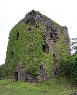 The Ruins of Dunollie Castle, Oban
This 12th century castle lies on the site of a much earlier Bronze Age Fort from a time when 4 kings ruled the Kingdom of Dalriada from Dunollie.  It became the seat of Clan Macdougall in the 12th century and has been associated the Macdougalls since then.  There are plans to open a MacDougall museum in the nearby Dunollie House.  [url=http://www.streetmap.co.uk/map.srf?X=185187&Y=731465&A=Y&Z=120/] Map location. [/url]
