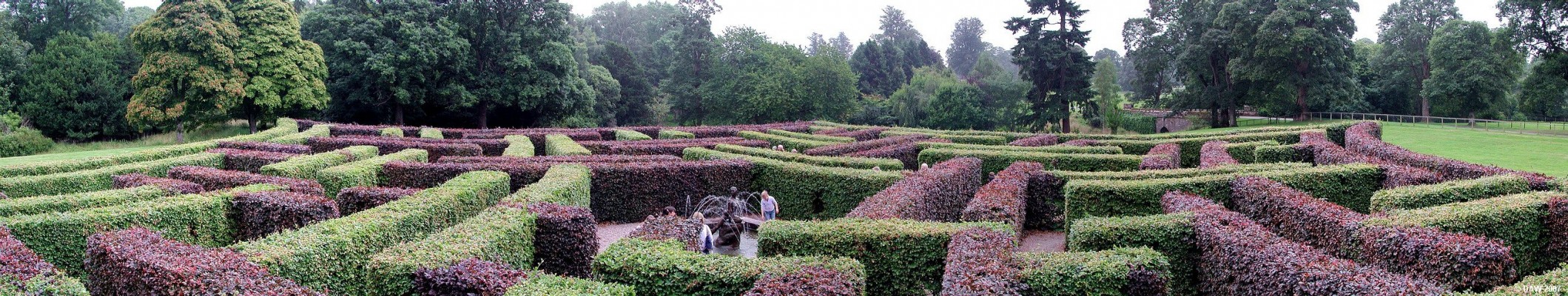 The Maze, Scone Palace
The unique Murray Star Maze at Scone Palace, designed by international maze designer, Adrian Fisher.  Apparently the only maze in Perthshire, unless you count the one way traffic system in Perth.
