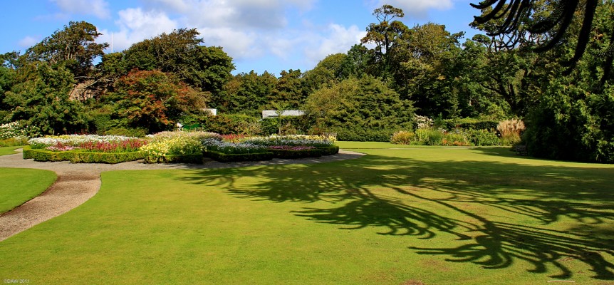 Dunvegan Castle Gardens, Skye
An Araucaria araucana (Monkey Puzzle Tree) casts a shadow over the lawns at Dunvegan Castle Gardens. [url=http://www.streetmap.co.uk/map.srf?X=124821&Y=848970&A=Y&Z=115/] Map location. [/url]
