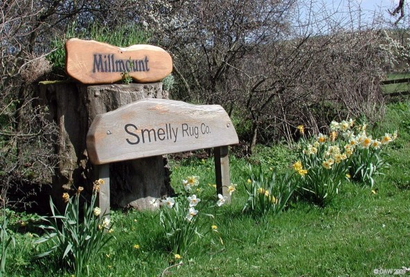 Spotted on a road side outside Melrose
It makes sense if you visit their [urll=http://www.smellyrugcompany.co.uk/] web site [/url]
