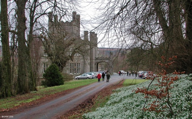 Blairquahan Castle, Ayrshire
Snowdrops at [url=http://www.blairquhan.co.uk/] Blairquhan Castle. [/url]
