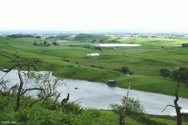 View over Snypes Dam
This view from the top of the Neilston Pad has Snypes dam in the foreground.  To the top of centre is 'The Craigie' with Glanderston dam next to it and Walton dam to the right.
