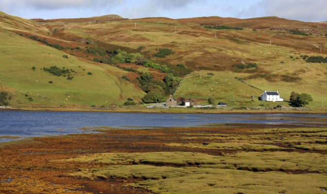 Loch Harport, Skye
The Autumnal colours on hills match the colour of the sea weed here at the southern end of Loch Harport on the Island of Skye. [url=http://streetmap.co.uk/map.srf?X=140240&Y=831225&A=Y&Z=120/] Map location. [/url]
