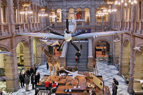 Spitfire, Kelvingrove Art Gallery & Museum, Glasgow
[url=http://www.glasgowmuseums.com/venue/page.cfm?venueid=4&itemID=13/]Spitfire LA198 [/url] is the most obvious object in this photo isnide Kelvingrove Art Gallery, but look closer and you'll see it is surrounded by sea birds of varies kinds in flight.

